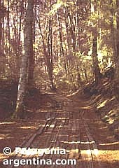 Camino a Cascada los C�ntaros