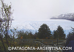 �Haga click sobre la foto para enviarla como PataPostal!