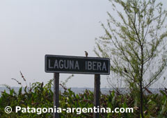 Laguna Iber&aacute;