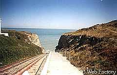 Access to Sea Elephant's colony