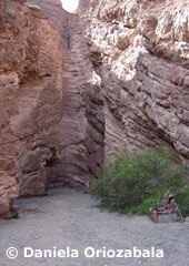El Anfiteatro