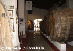 Bodegas