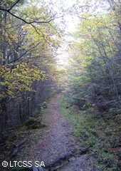 Trekking en el Parque Nacional Tierra del Fuego
