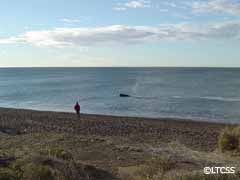 La silueta de una ballena que se pierde en la inmensidad del paisaje