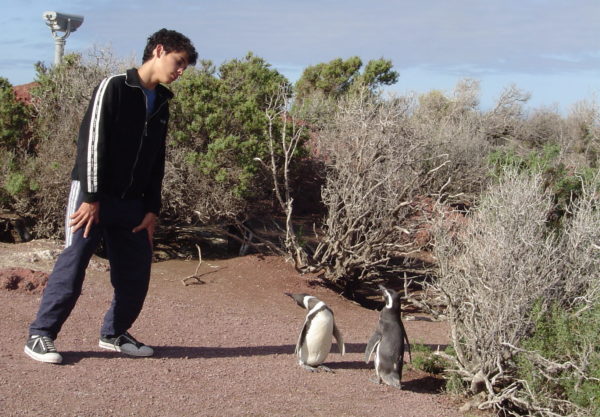 Mimicking the Penguins - Punta Tombo - Patagonia Argentina