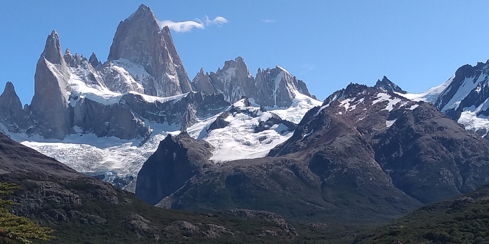 looking for wild fitz roy