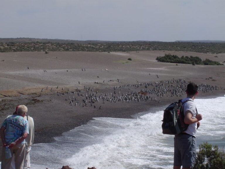 Punta Tombo.