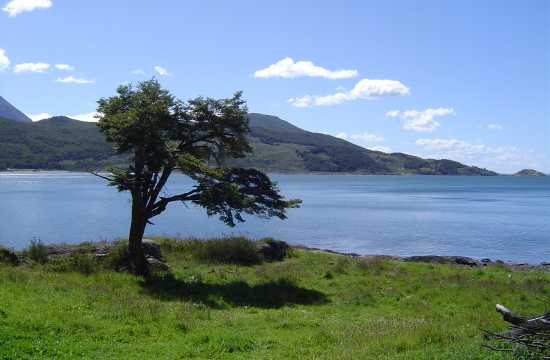 Parque Nacional Tierra del Fuego