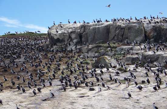 Beagle Channel Navigation