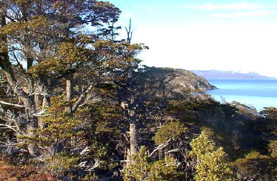 Tierra del Fuego National Park