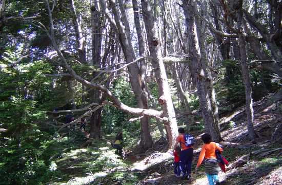 Parque Nacional: Trekking y canoas